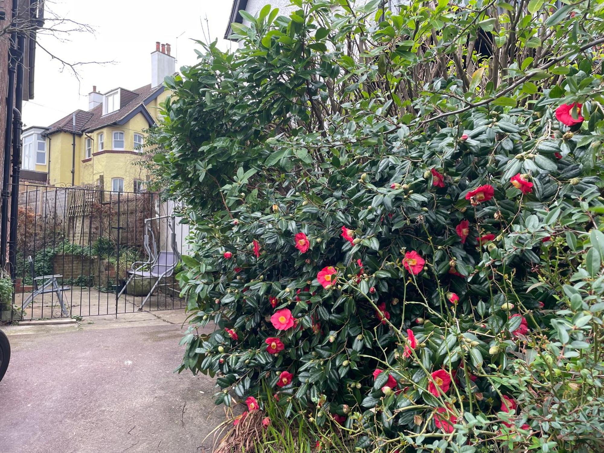 Livadia House At St Leonards On Sea Bed & Breakfast ภายนอก รูปภาพ